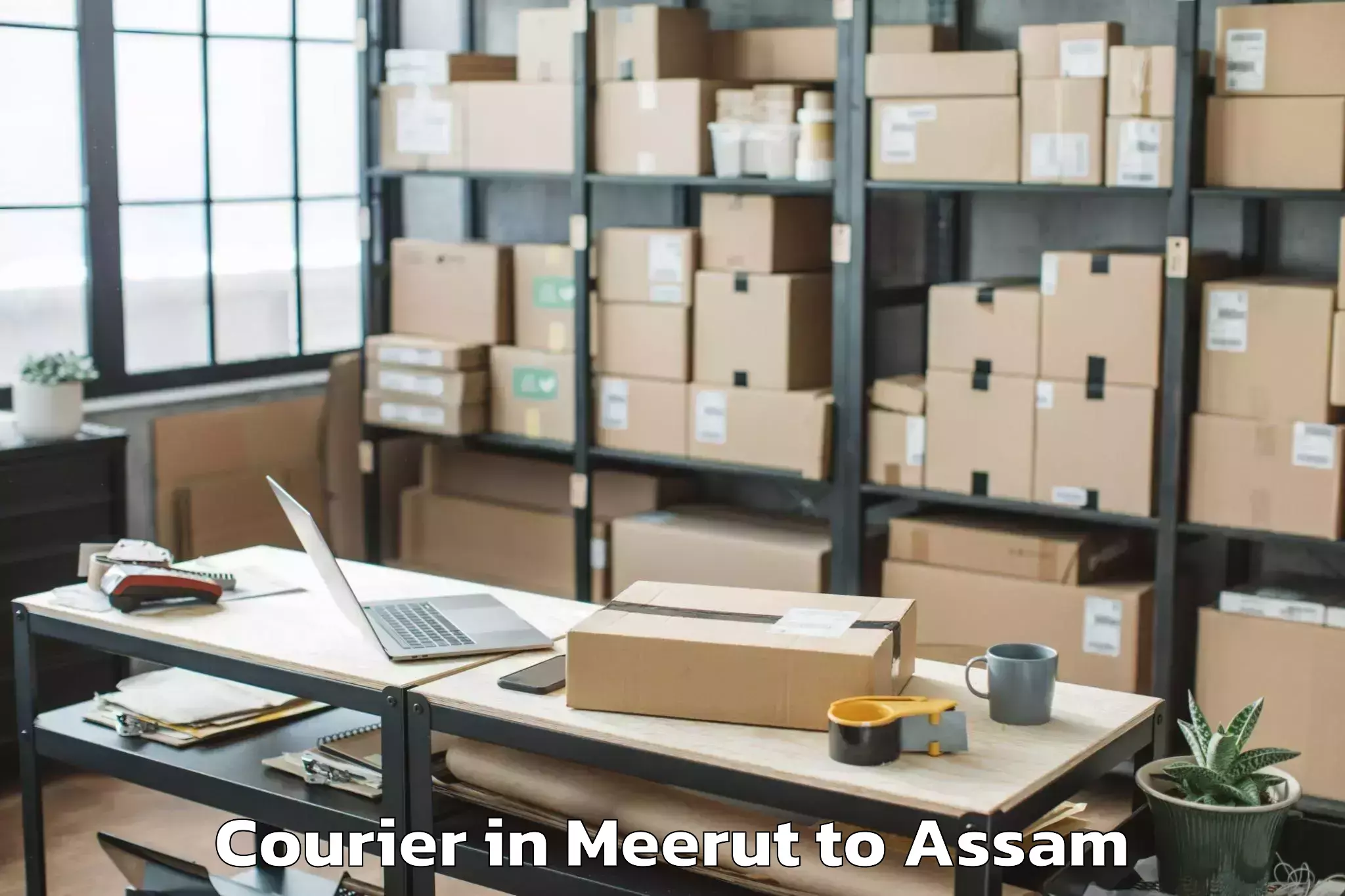 Get Meerut to Bengtol Courier